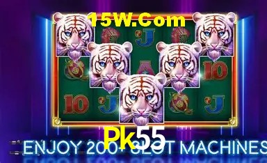 Experiência VIP Pk55