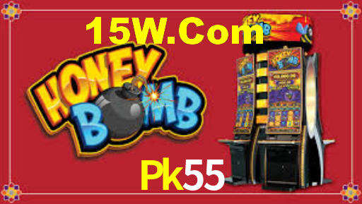 Experimente o Login Seguro Premium no Pk55