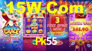 Premium Interface Pk55